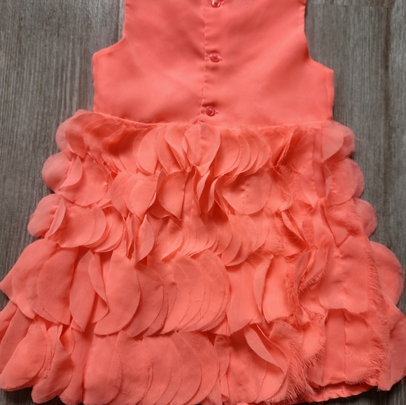 Cherokee Baby Girl Bright Coral Dress with Sheer Circle Design Details, Size 2T - Picture 3 of 4